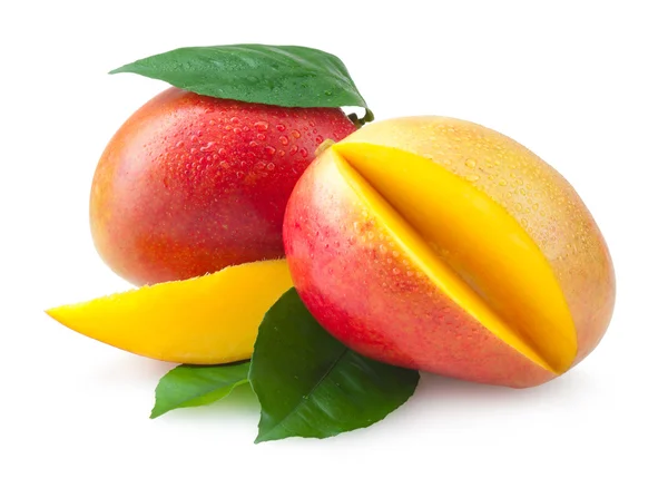 Mangofrugter - Stock-foto