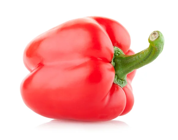 Red paprika pepper — Stock Photo, Image