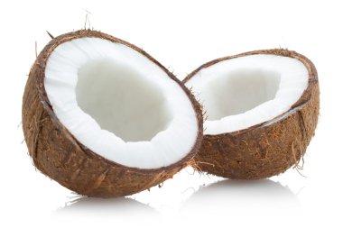 Hindistan cevizi