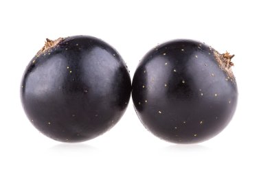 Siyah frenk üzümü