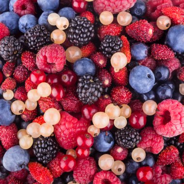 berry arka plan