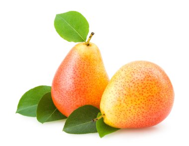 Pears clipart