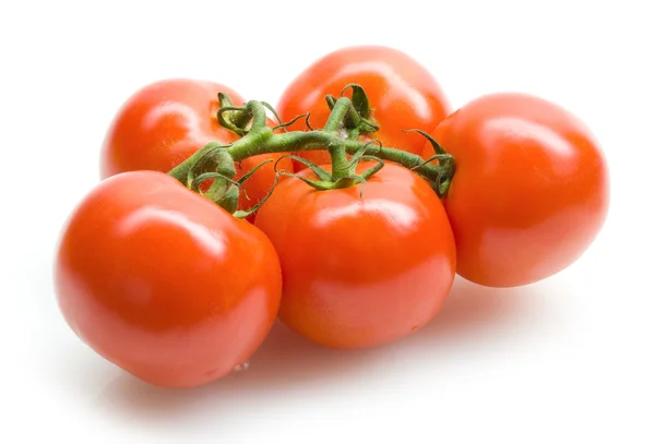 Red tomatoes — Stock Photo, Image