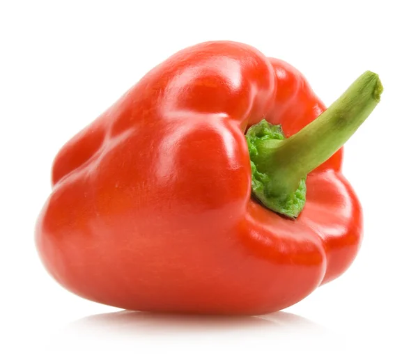 Paprika rossa — Foto Stock