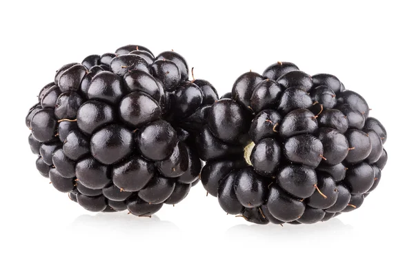 Blackberries — Stock Photo, Image