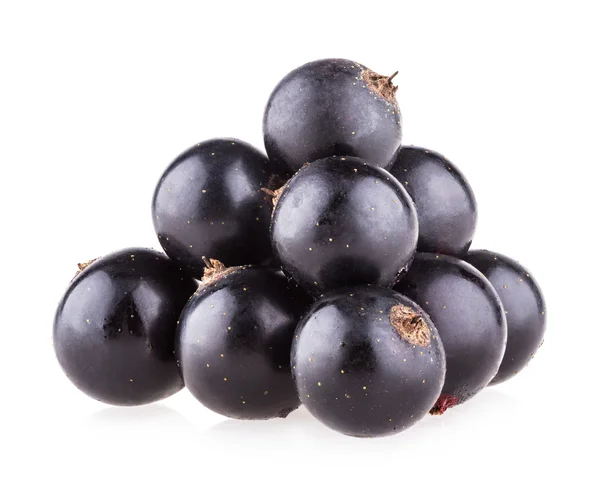 Black currant — Stock Photo, Image