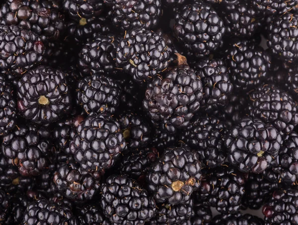 Blackberries fond — Photo