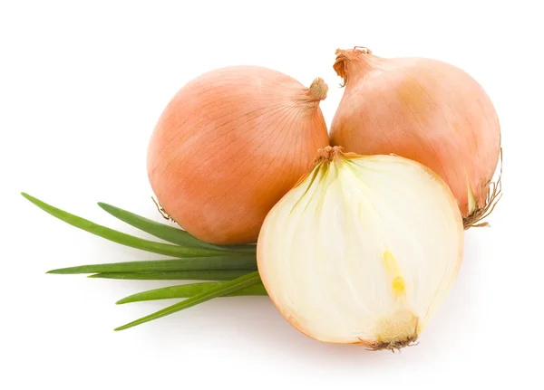 Onions — Stock Photo, Image