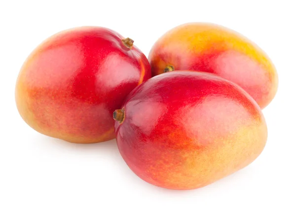 Mango fruits — Stock Photo, Image