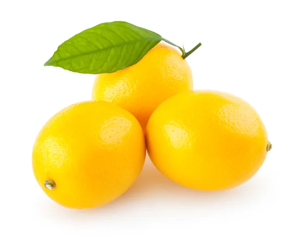 Frische Zitronen — Stockfoto