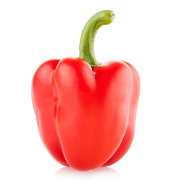 Red paprika pepper — Stock Photo, Image