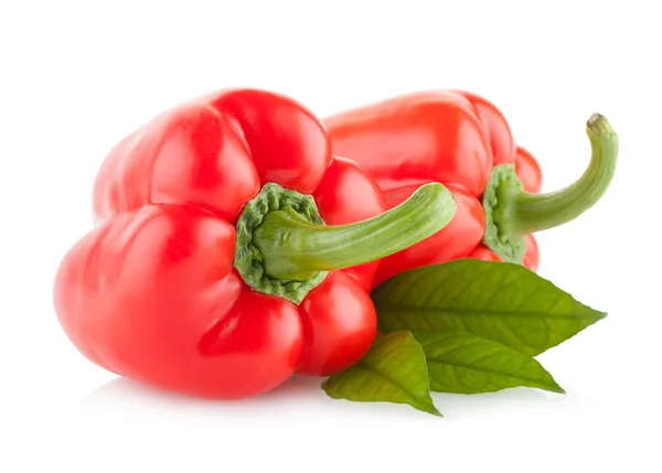 Rode paprika-paprika — Stockfoto