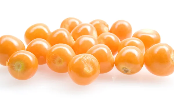 Phyhsalis — Stock Photo, Image