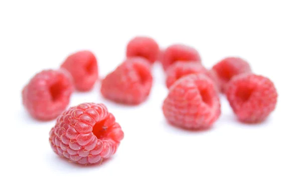 Himbeeren — Stockfoto