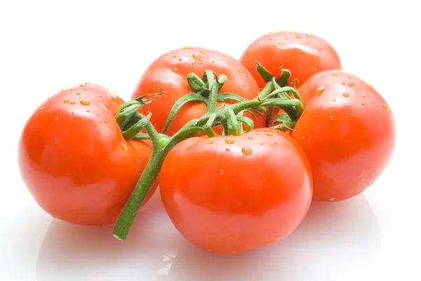 Tomaten — Stockfoto