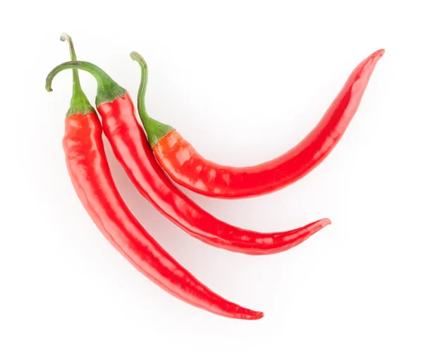 Röd chilipeppar — Stockfoto