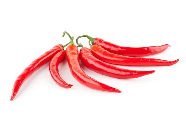 Pimientos chile rojo — Foto de Stock