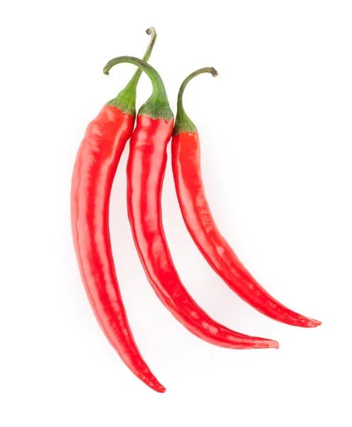 Pimientos chile rojo — Foto de Stock