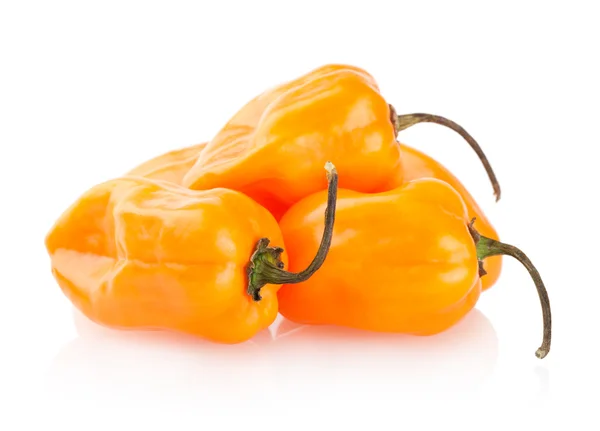 Hot cayenne peppers — Stock Photo, Image