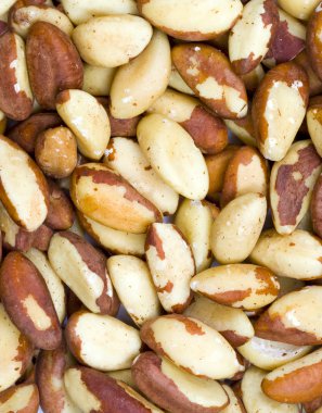 Brezilya fıstığı