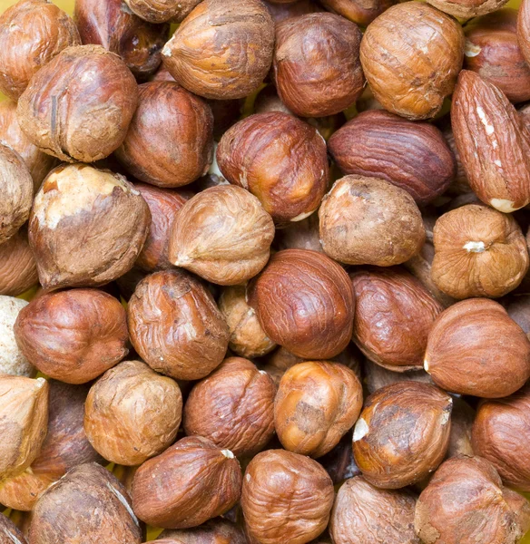 Hazelnuts background — Stock Photo, Image
