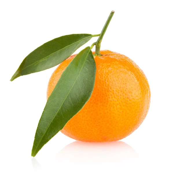 Mogen mandarin — Stockfoto