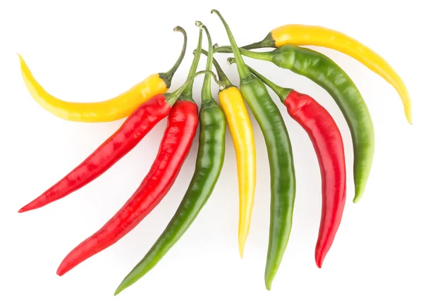 Colorful chili peppers — Stock Photo, Image