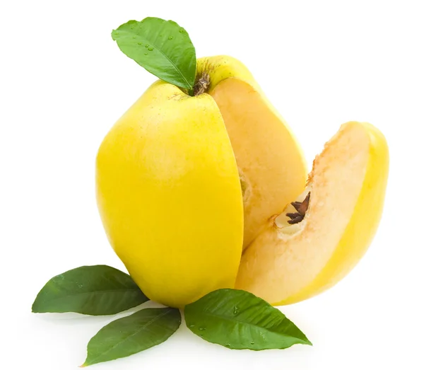 Quince — Stock Photo, Image