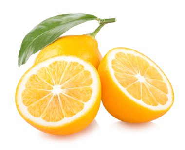 taze limon