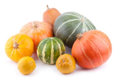 Renkli balkabakları