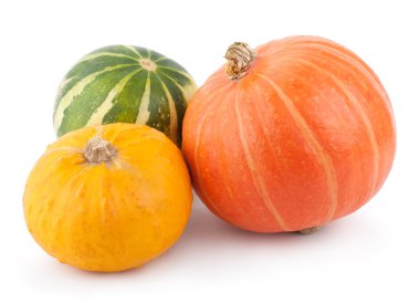 Renkli balkabakları