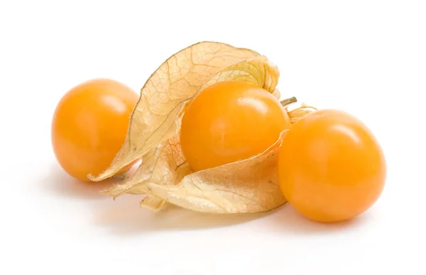 Physalis. — Foto de Stock