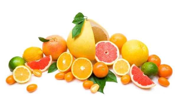 Zbiory owoców cytrusowych — Zdjęcie stockowe
