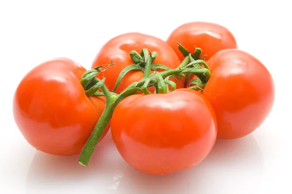 Tomatoes — Stock Photo, Image