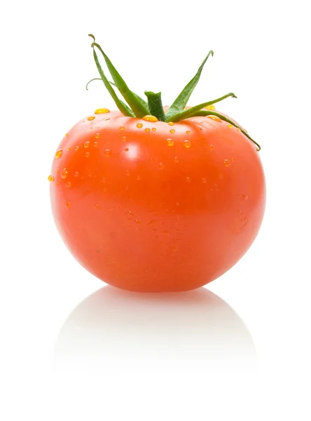 Tomaten — Stockfoto