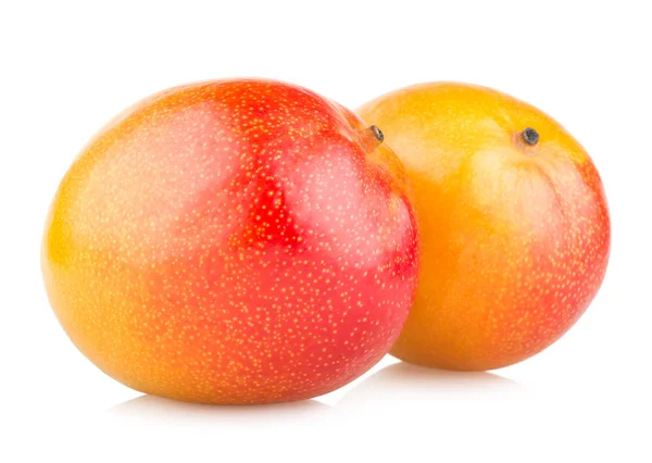 Owoce mango — Zdjęcie stockowe