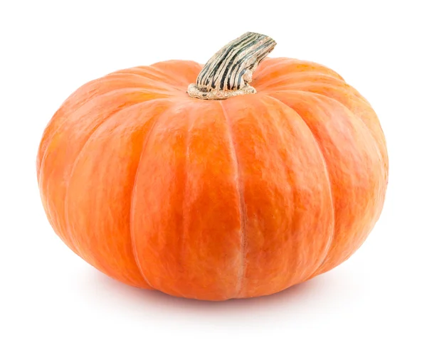 Calabaza — Foto de Stock