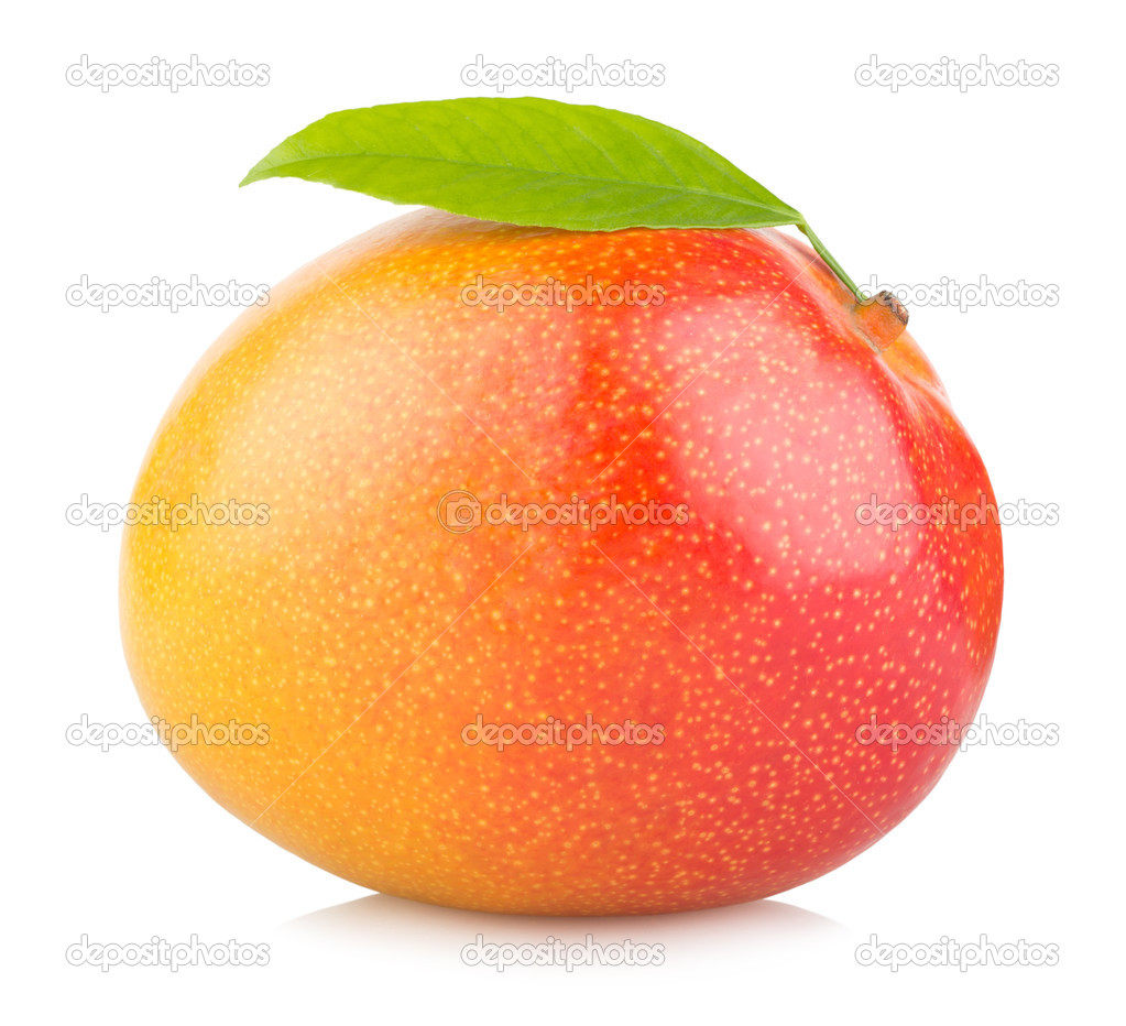 Mango fruit