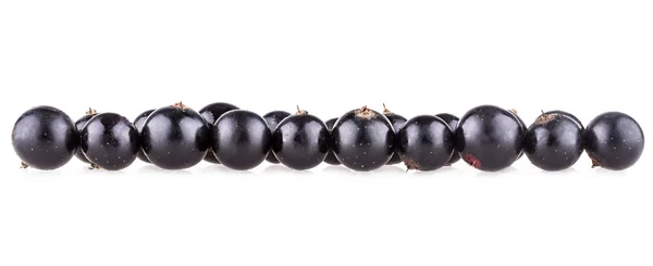 Black currant — Stock Photo, Image