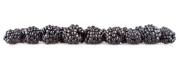 Blackberries — Stock Photo, Image