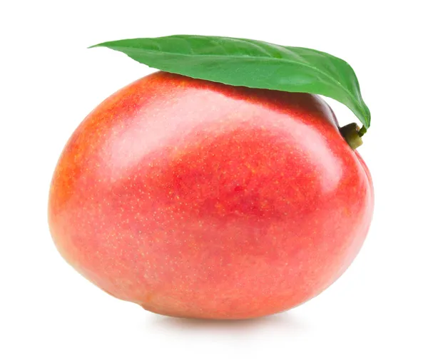 Mango frukt — Stockfoto