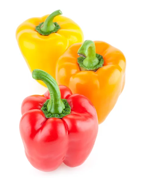 Färgglada paprika paprika — Stockfoto