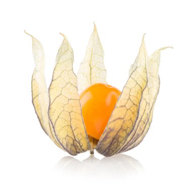 olgun physalis