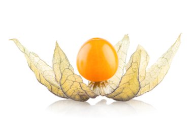olgun physalis