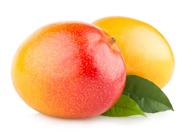 Mango meyve