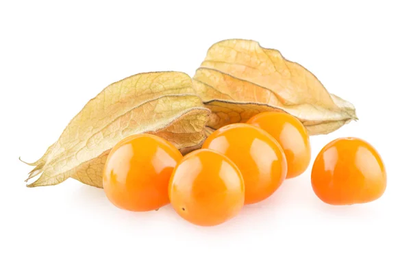 Ripe physalis — Stock Photo, Image