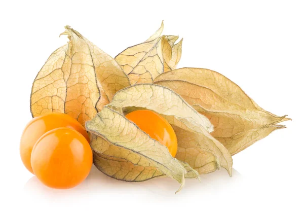 Ripe physalis — Stock Photo, Image