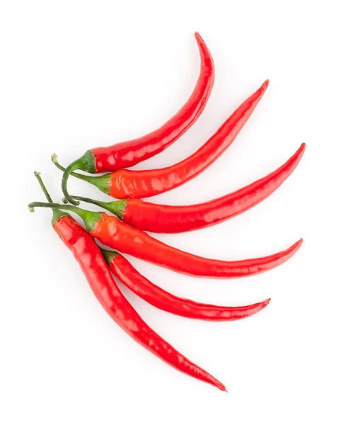 Röd chilipeppar — Stockfoto