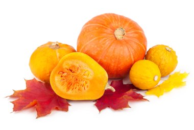 kabaklar yaprakları ile