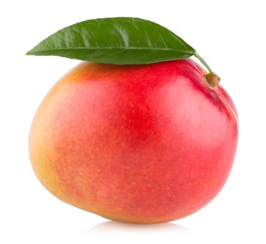 Mango meyve